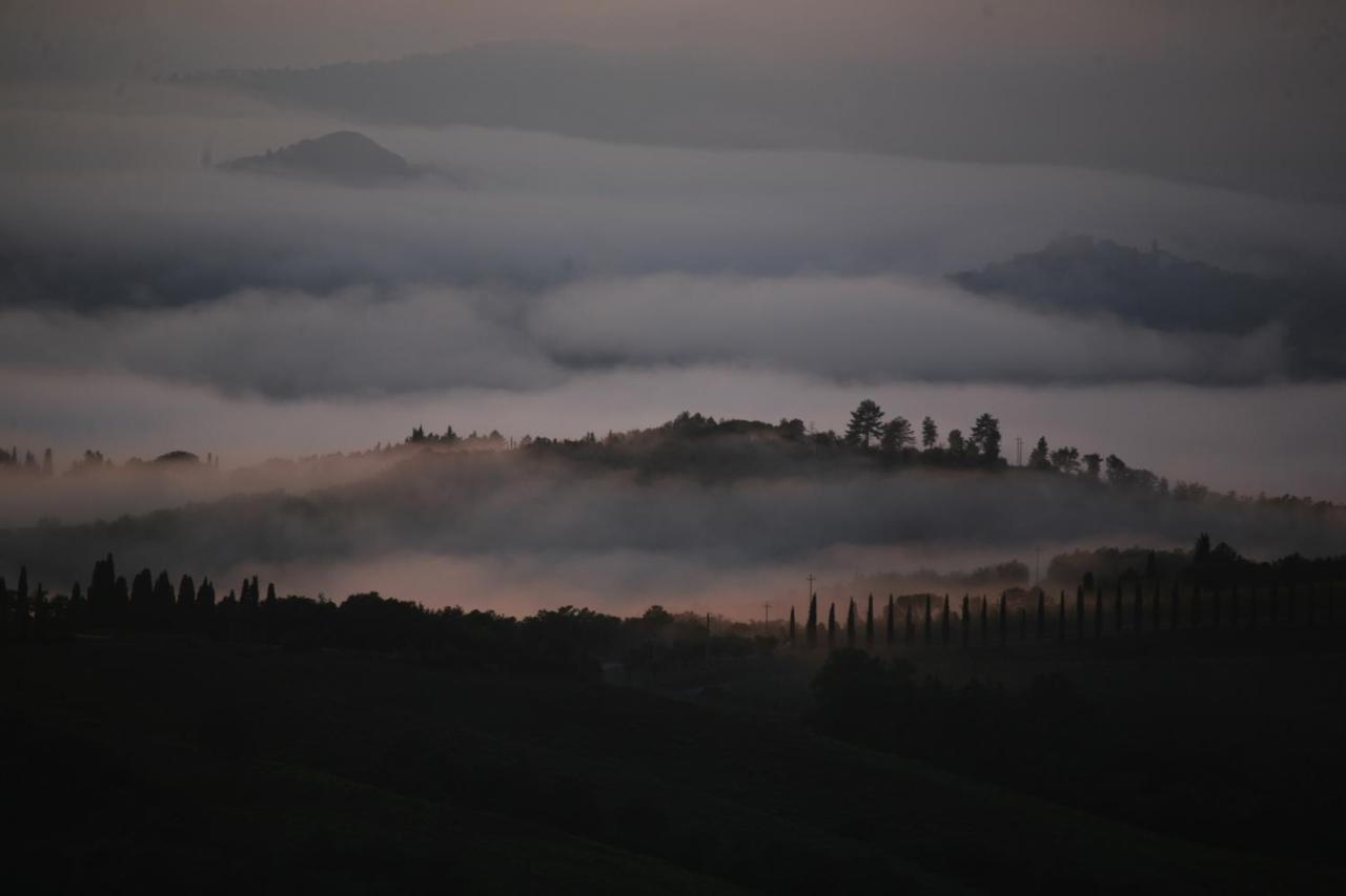 Hotel Ristorante Al Brunello Di Montalcino Eksteriør bilde